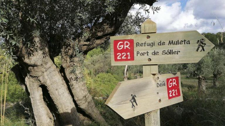 Hostal Nadal Soller Exterior photo